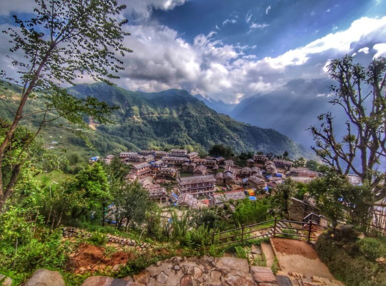 Living Your Best Life: Tips for a Healthy Lifestyle