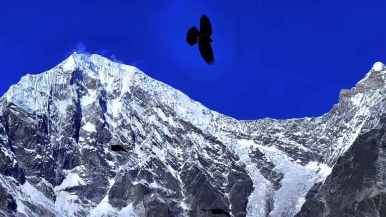 Langtang Trek: 8-Day First-Timer’s Itinerary (Local & Authentic)