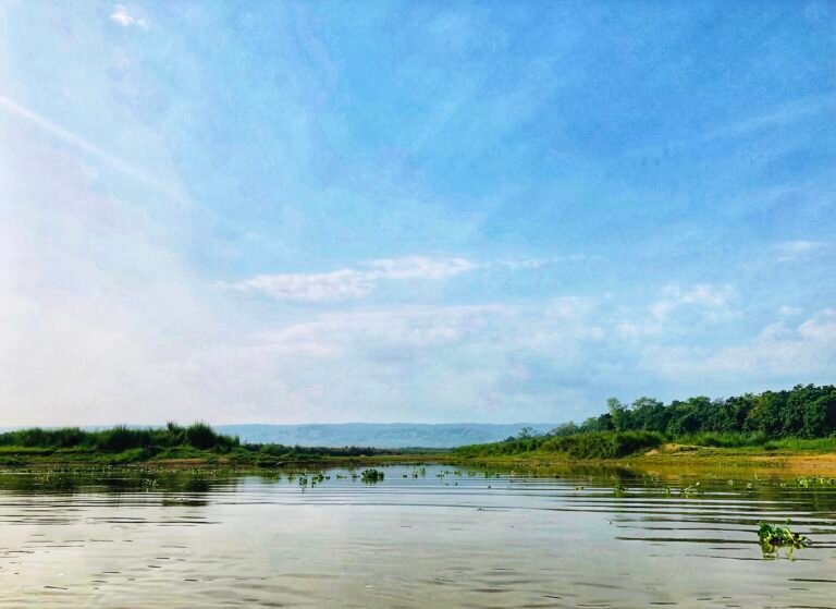 Chitwan National Park Guide 2026: Safari, Fees, Best Time & How to Get There