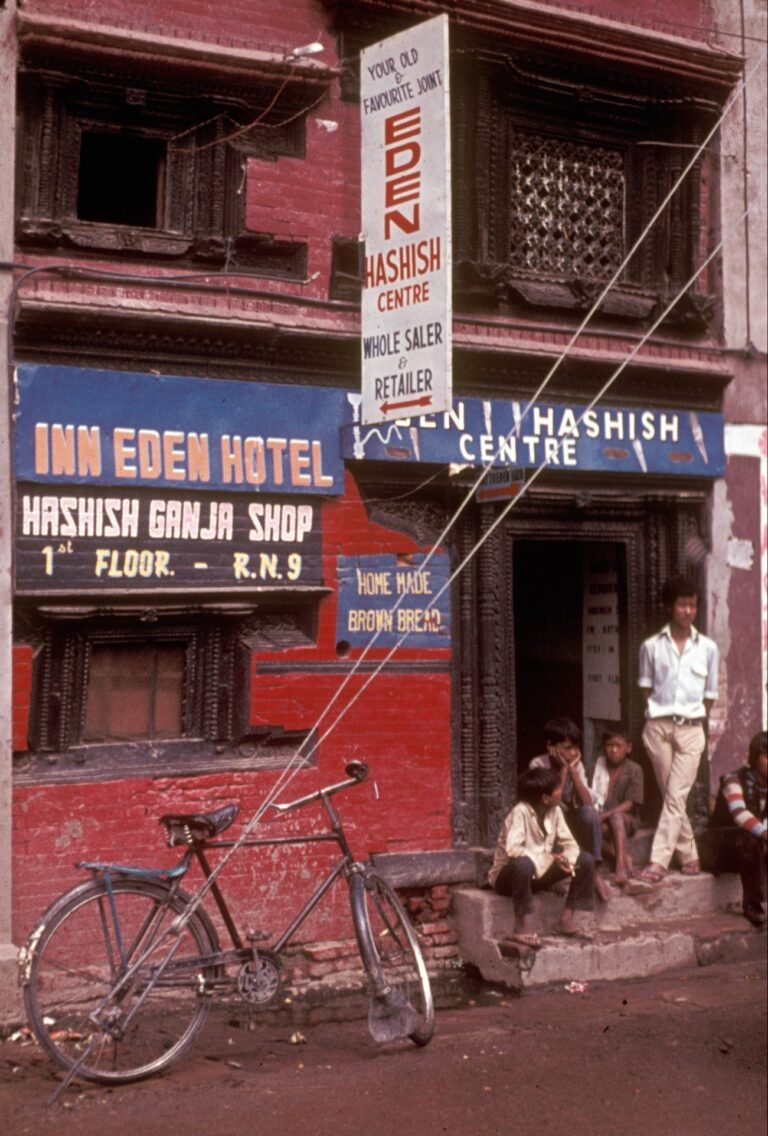Nepal Moves to Decriminalise Cannabis: What Gandaki Province’s New Law Means for Travelers