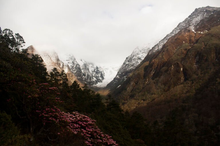 Nepal Trekking Grades Explained: Difficulty Levels, Routes & Fitness Guide (2026)