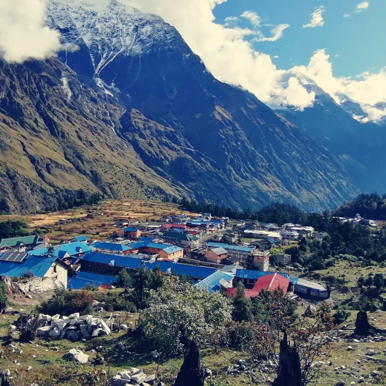 Stone and slate village houses in the high Manaslu Circuit trek region of Gorkha district, Nepal, with mountain slopes rising behind