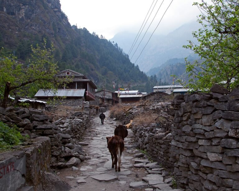 Dharapani village on the Annapurna Circuit in Manang district, Nepal, where the Besisahar-Chame road is being concreted in September 2026
