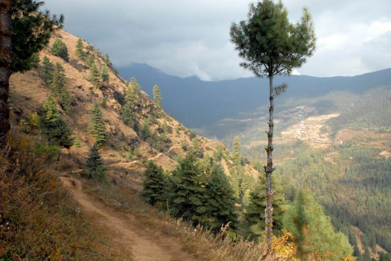 A hiking trail on the approach to Junbesi village in lower Solu, Solukhumbu, Nepal, forested ridges of the Everest View Trail Race region